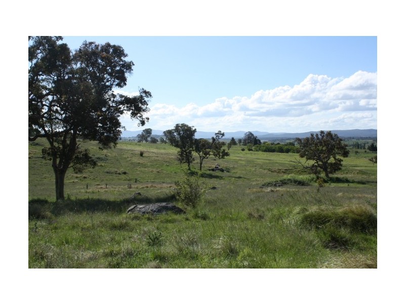 Tenterfield NSW 2372