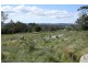 Tenterfield NSW 2372