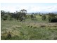 Tenterfield NSW 2372