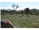 Tenterfield NSW 2372