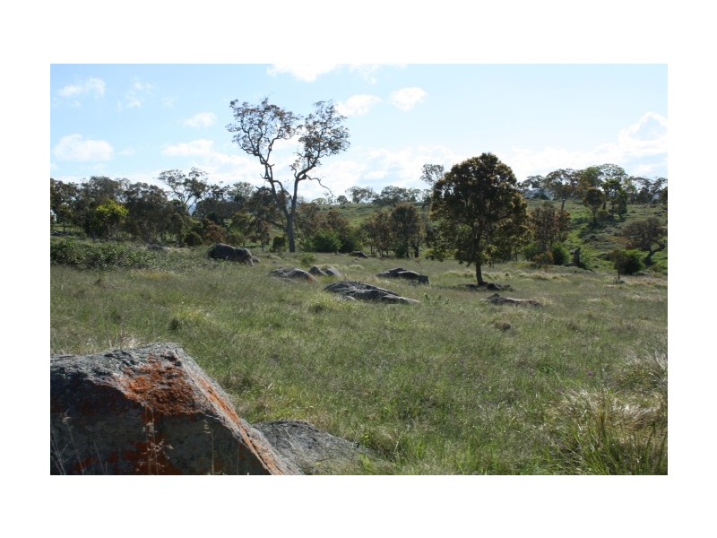 Tenterfield NSW 2372