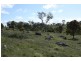 Tenterfield NSW 2372