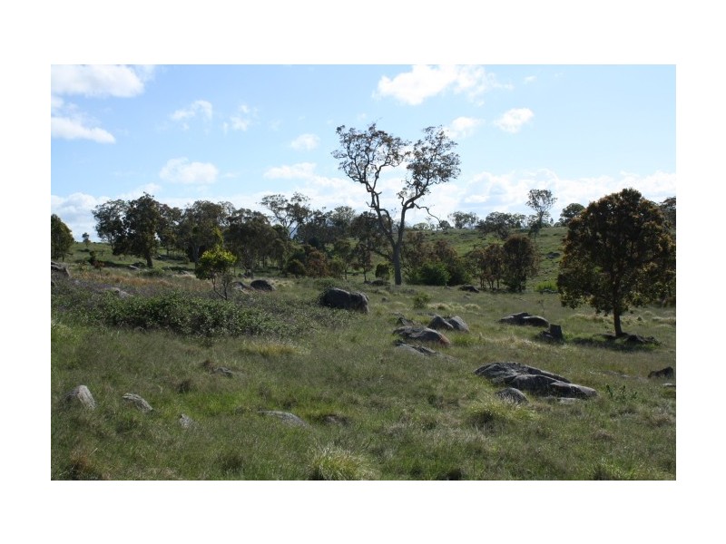 Tenterfield NSW 2372