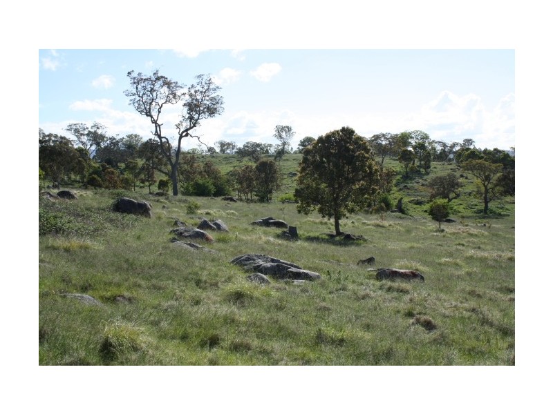 Tenterfield NSW 2372