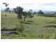 Tenterfield NSW 2372