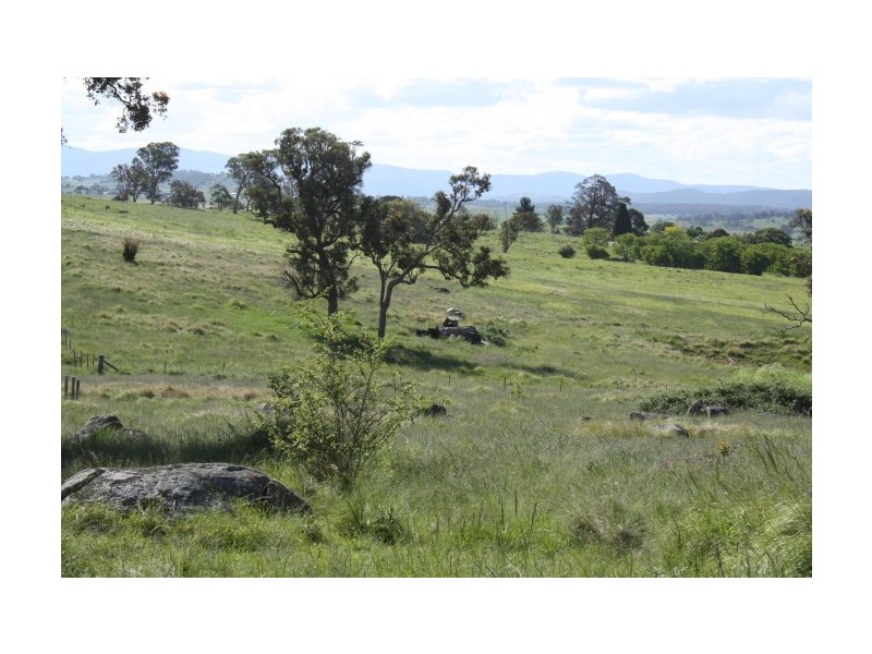 Tenterfield NSW 2372