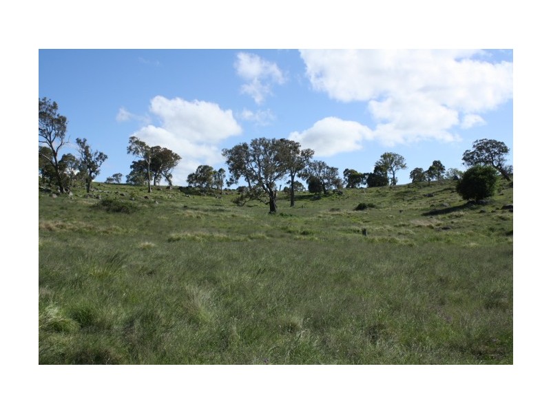 Tenterfield NSW 2372