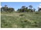 Tenterfield NSW 2372
