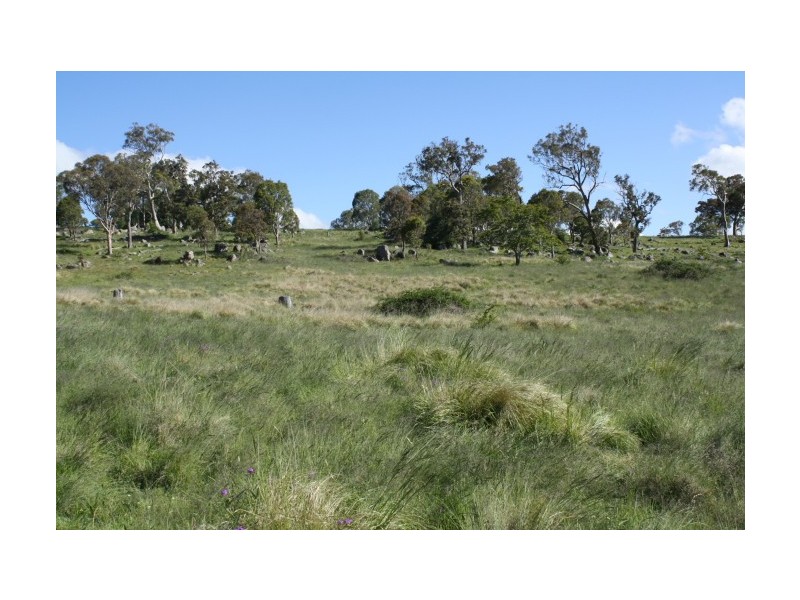 Tenterfield NSW 2372