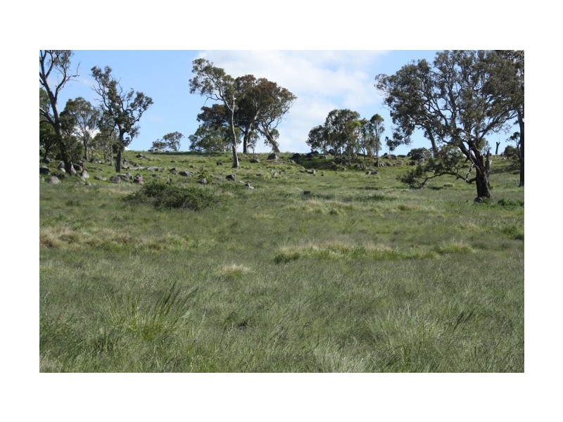 Tenterfield NSW 2372