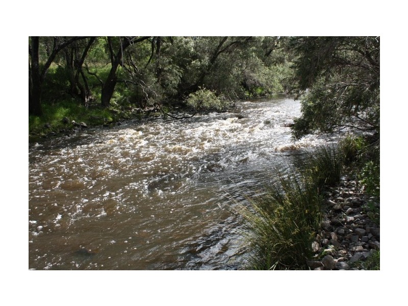 Lot 10,  Mountain Creek Road, Tenterfield NSW 2372