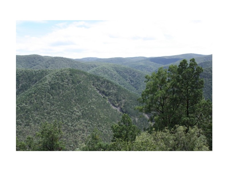 Lot 10,  Mountain Creek Road, Tenterfield NSW 2372