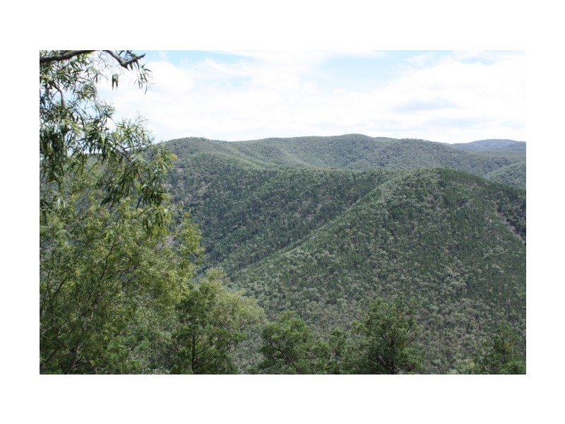 Lot 10,  Mountain Creek Road, Tenterfield NSW 2372