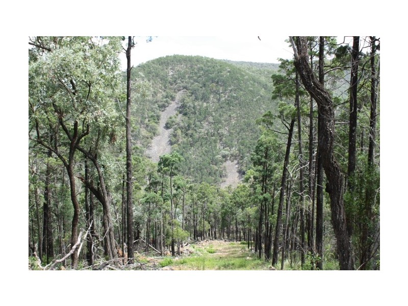 Lot 10,  Mountain Creek Road, Tenterfield NSW 2372