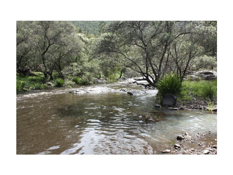 Tenterfield NSW 2372