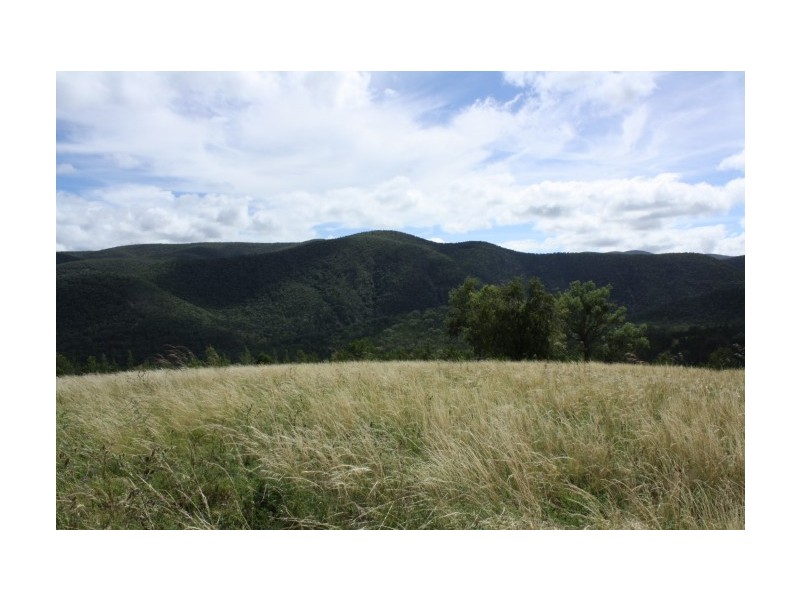 Tenterfield NSW 2372