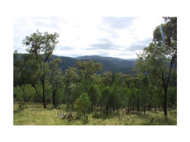 Tenterfield NSW 2372