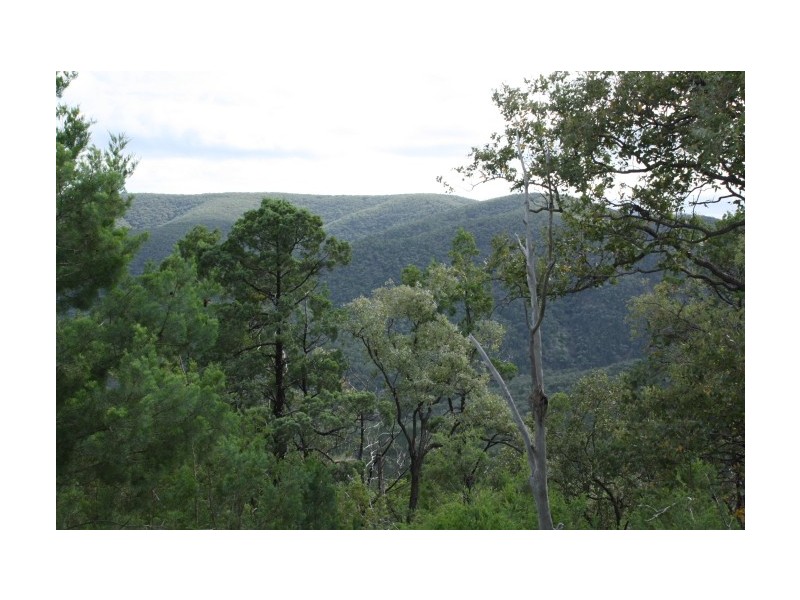 Tenterfield NSW 2372