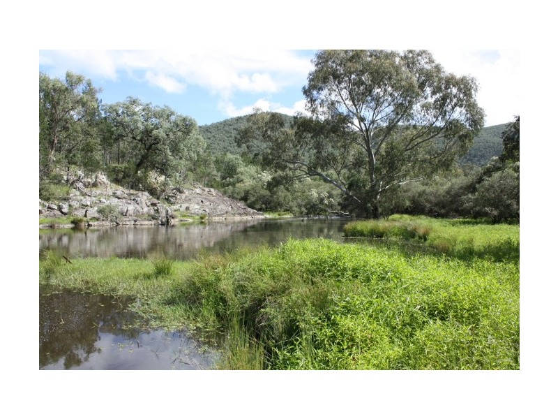 Tenterfield NSW 2372