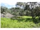 Tenterfield NSW 2372