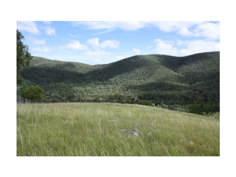 Tenterfield NSW 2372