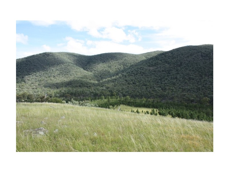 Tenterfield NSW 2372