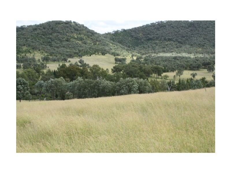 Tenterfield NSW 2372