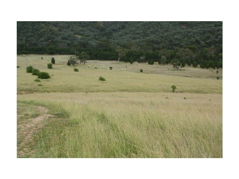 Tenterfield NSW 2372