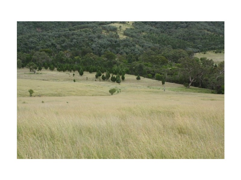 Tenterfield NSW 2372