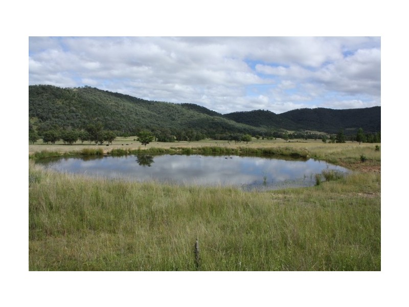 Tenterfield NSW 2372