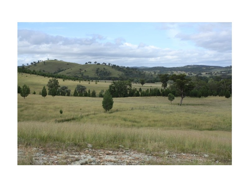 Tenterfield NSW 2372