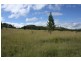 Tenterfield NSW 2372