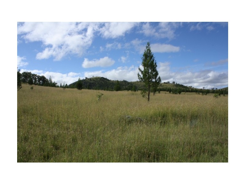 Tenterfield NSW 2372