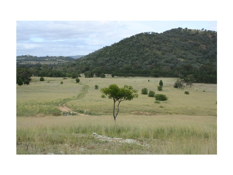 Tenterfield NSW 2372