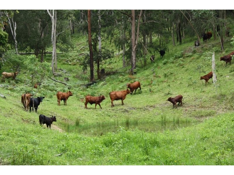 Tenterfield NSW 2372