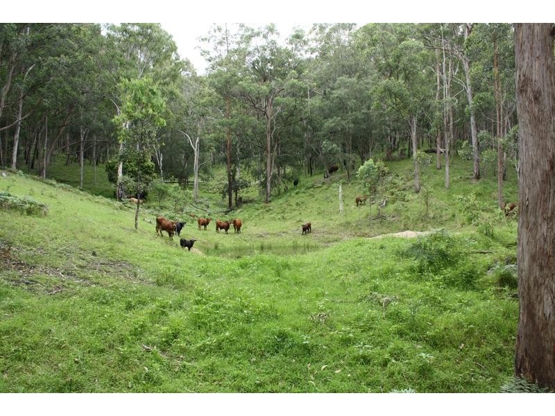 Tenterfield NSW 2372