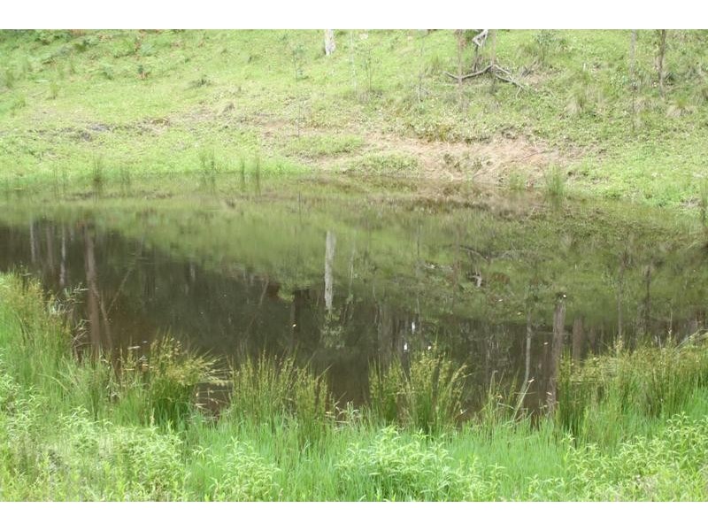 Tenterfield NSW 2372