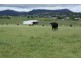 Tenterfield NSW 2372