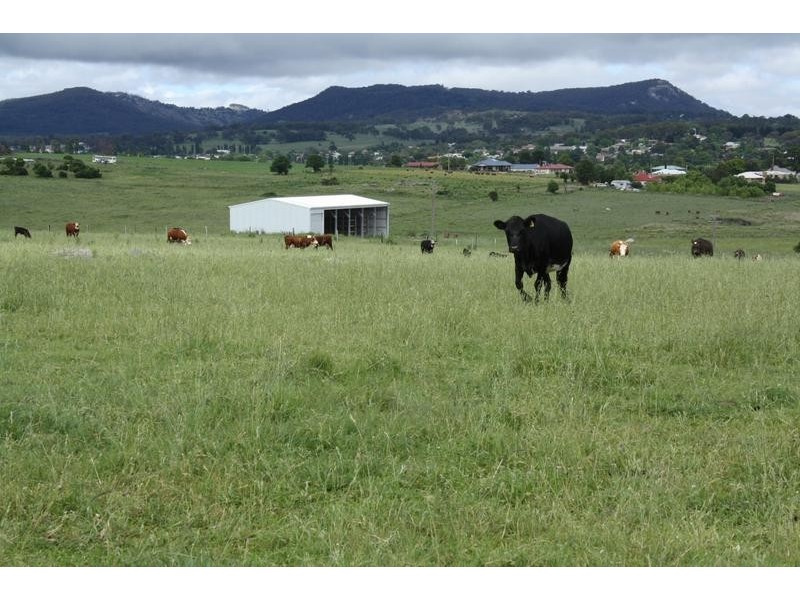 Tenterfield NSW 2372