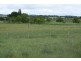Tenterfield NSW 2372