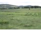 Tenterfield NSW 2372