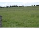 Tenterfield NSW 2372