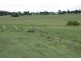 Tenterfield NSW 2372
