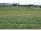 Tenterfield NSW 2372