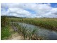 Tenterfield NSW 2372