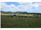 Tenterfield NSW 2372