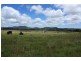 Tenterfield NSW 2372