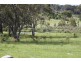 Tenterfield NSW 2372