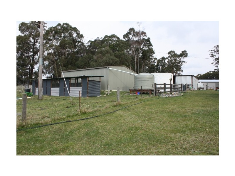 Tenterfield NSW 2372