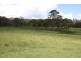 Tenterfield NSW 2372